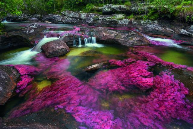 caño cristales el rio mas bonito del mundo